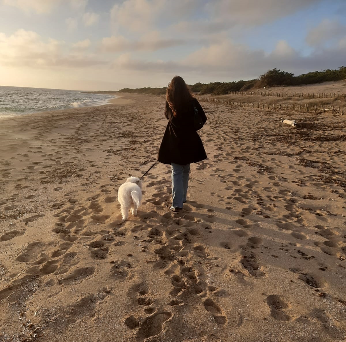 foto di padrone e cane che passeggiano in spiaggia