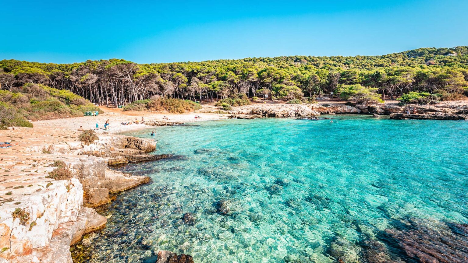 foto della piccola spiaggetta nel parco nazionale di porto selvaggio circondata da pineta